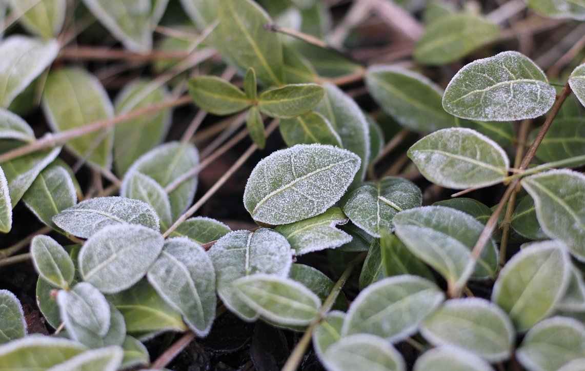 Blog Image